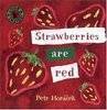 Strawberries Are Red