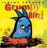 Grumpy Bird