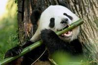 Zoo