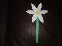 CONSTRUCTION PAPER DAISY