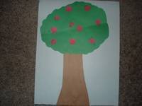 APPLE TREE