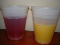 FRESH FRUIT JUICE