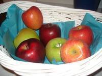 APPLES AND MORE APPLES (SNACK)