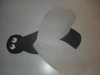 CONSTRUCTION PAPER FLY