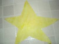 CHRISTMAS STAR