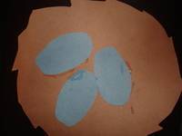 THREE EGGS IN A NEST