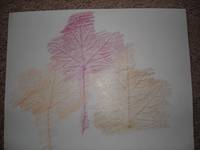 LEAF RUB
