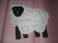 SHEEP