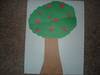 APPLE TREE