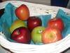 APPLES AND MORE APPLES (SNACK)