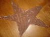 SHAVING CREAM STARFISH