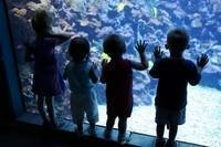 PLANNING A FIELD TRIP